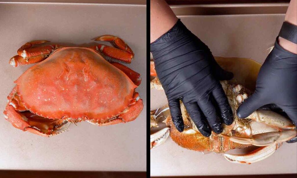 Cook Your Dungeness Crab