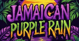 jamaican-purple-rain-bold-and-refreshing-drink-recipe